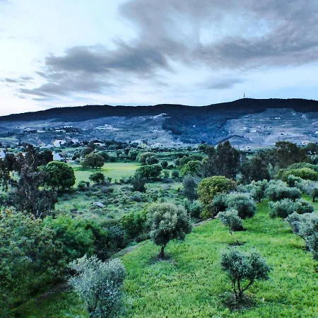 Nikitas 1st Floor * Κως Πόλη