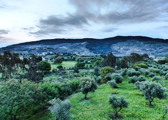 Nikitas 1st Floor * Cós